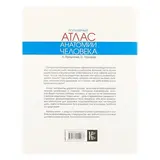 Популярный атлас анатомии человека. Палычева Л. Н., Лазарев Н. В. 