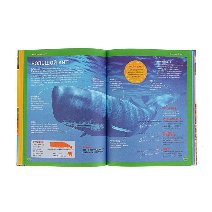 Большая детская энциклопедия «Лучший подарок для девочки» 