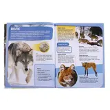 Детская энциклопедия. Опасные животные Развивающая книга  - фото 3