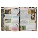 Большая книга почемучки  - фото 5