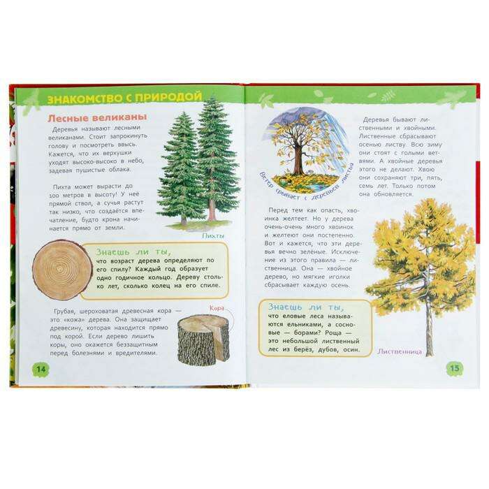 Энциклопедия для детского сада «В лесу» 