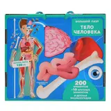 Энциклопедия + большие пазлы Тело человека Гауле М.  - фото 2