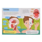 Энциклопедия + большие пазлы Тело человека Гауле М.  - фото 4