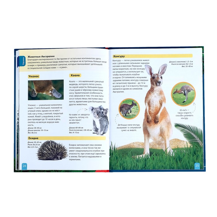 Детская энциклопедия в твёрдом переплёте «Животные» 