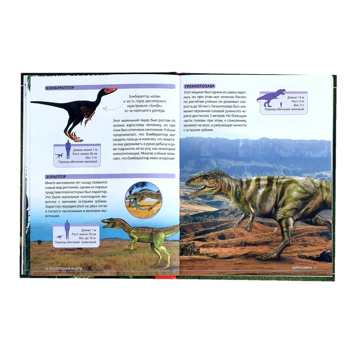 Детская энциклопедия в твёрдом переплёте «Удивительные динозавры» 