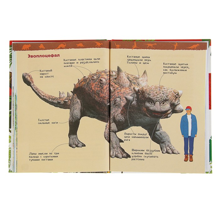 Энциклопедия для детского сада «Динозавры» 