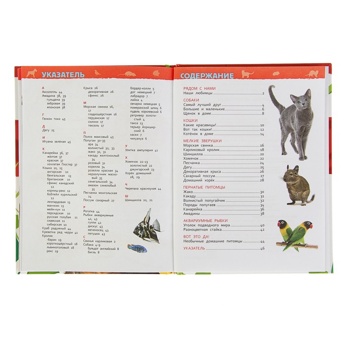Энциклопедия для детского сада «Домашние питомцы» 