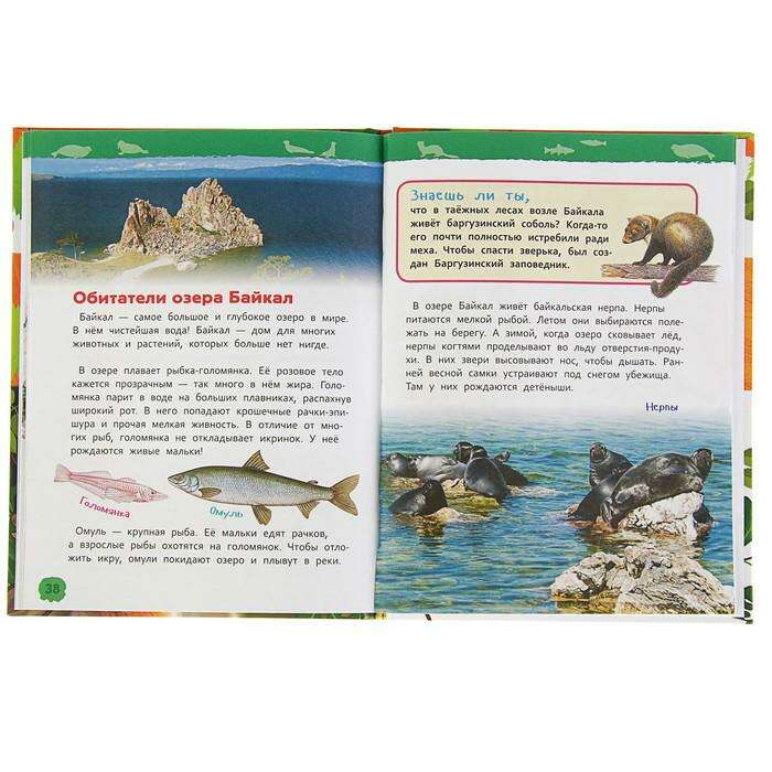 Энциклопедия для детского сада «Животные России» 