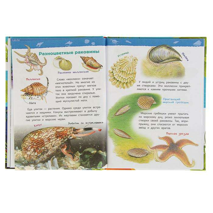 Энциклопедия для детского сада «Подводный мир» 