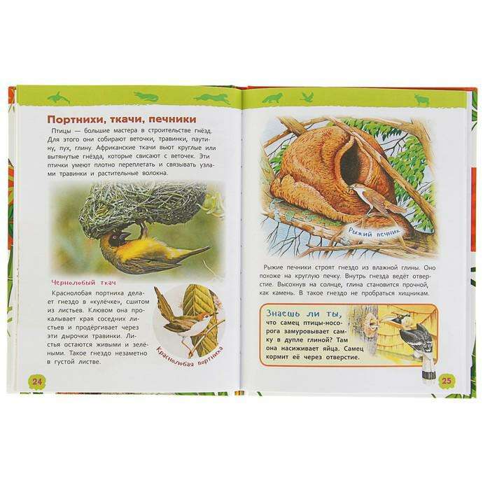 Энциклопедия для детского сада «Удивительные животные» 