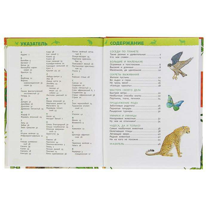Энциклопедия для детского сада «Удивительные животные» 