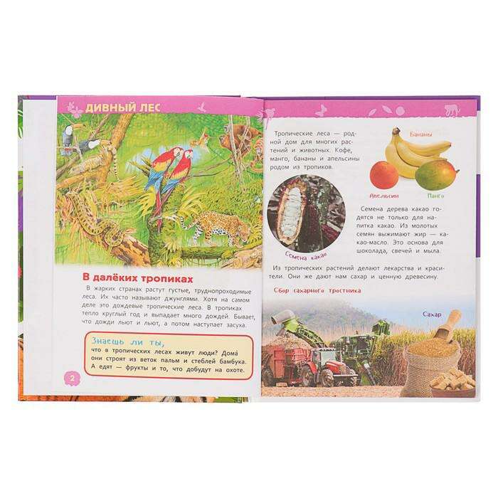 Энциклопедия для детского сада «Джунгли» 