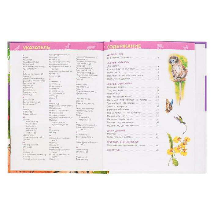 Энциклопедия для детского сада «Джунгли» 