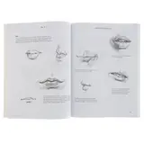 Книга контент Искусство и дизайн. 7 простых уроков рисования. - фото 2