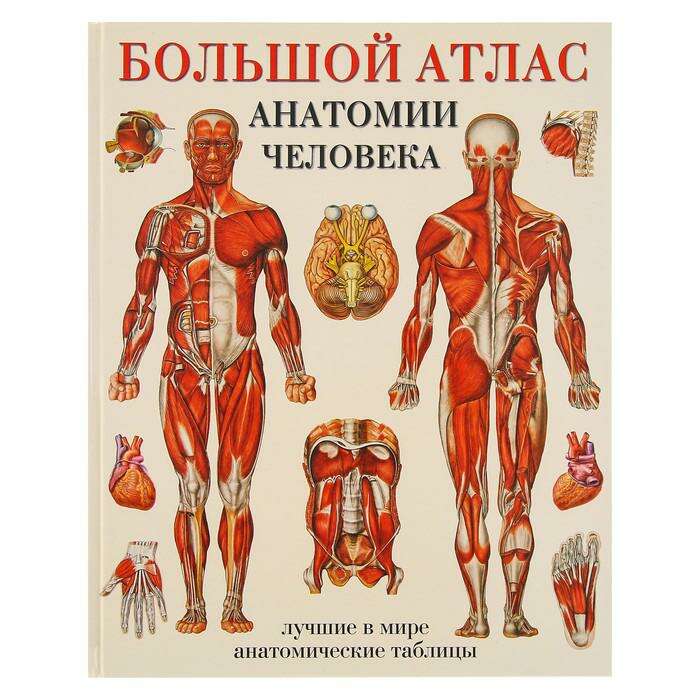 Большой атлас анатомии человека. Махиянова Е. Б. 