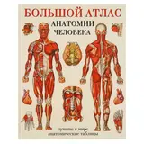 Большой атлас анатомии человека. Махиянова Е. Б. 