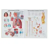 Большой атлас анатомии человека. Махиянова Е. Б.  - фото 2