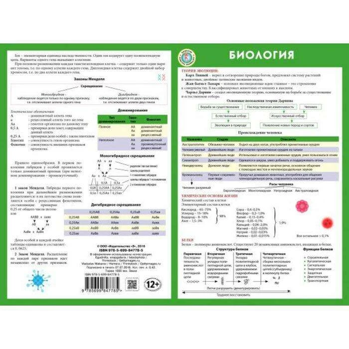 Биология Плакат