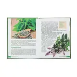 Самая полезная зелень для здоровья от Октябрины Ганичкиной  - фото 2