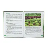 Самая полезная зелень для здоровья от Октябрины Ганичкиной  - фото 5