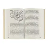 Тайная опора: привязанность в жизни ребёнка. Петрановская Л. В.  - фото 2