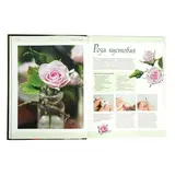 Полимерная глина. Техника. Приемы. Изделия  - фото 2