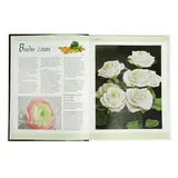 Полимерная глина. Техника. Приемы. Изделия  - фото 3