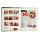 Полимерная глина. Техника. Приемы. Изделия  - фото 8