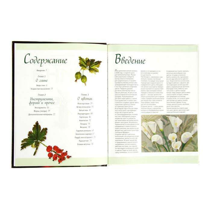 Полимерная глина. Техника. Приемы. Изделия  - фото 4