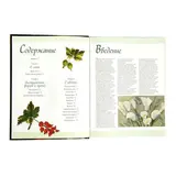 Полимерная глина. Техника. Приемы. Изделия  - фото 4