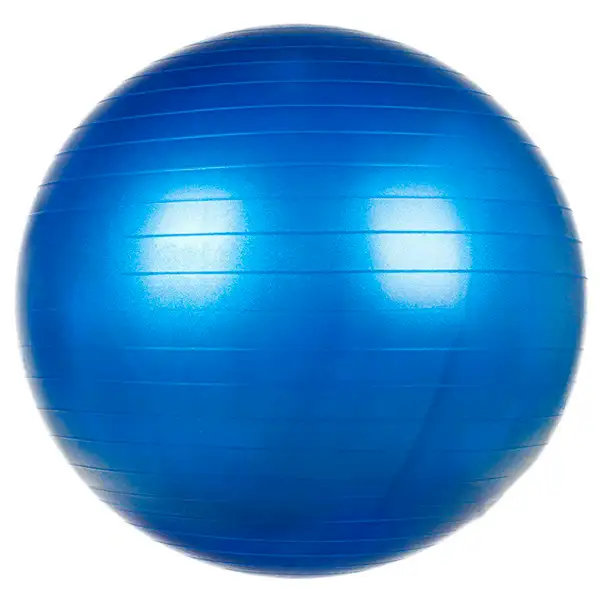 Фитбол 65 см с насосом, синий FB65