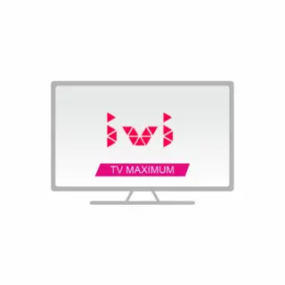 Пакет TV Максимум + Ivi Hitechnic