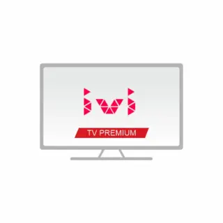 Пакет TV "Премиум + Ivi"