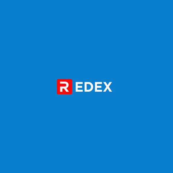 Электронный ключ Redex «Standard» на 12 месяцев