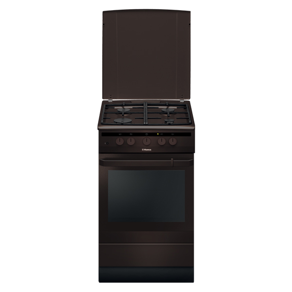 Газовая плита Hansa FCGB51020 Газовая плита Hansa FCGB51020