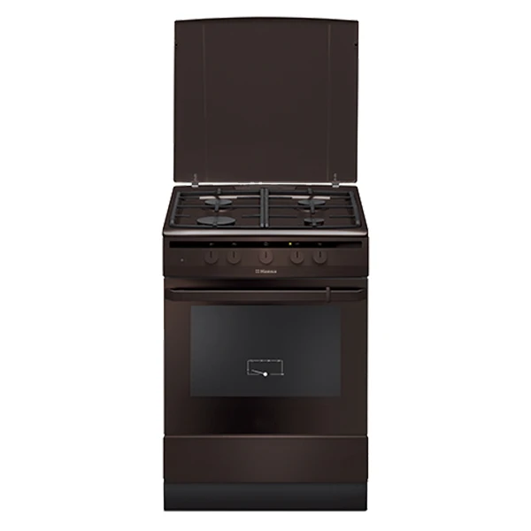 Газовая плита Hansa FCGB63021