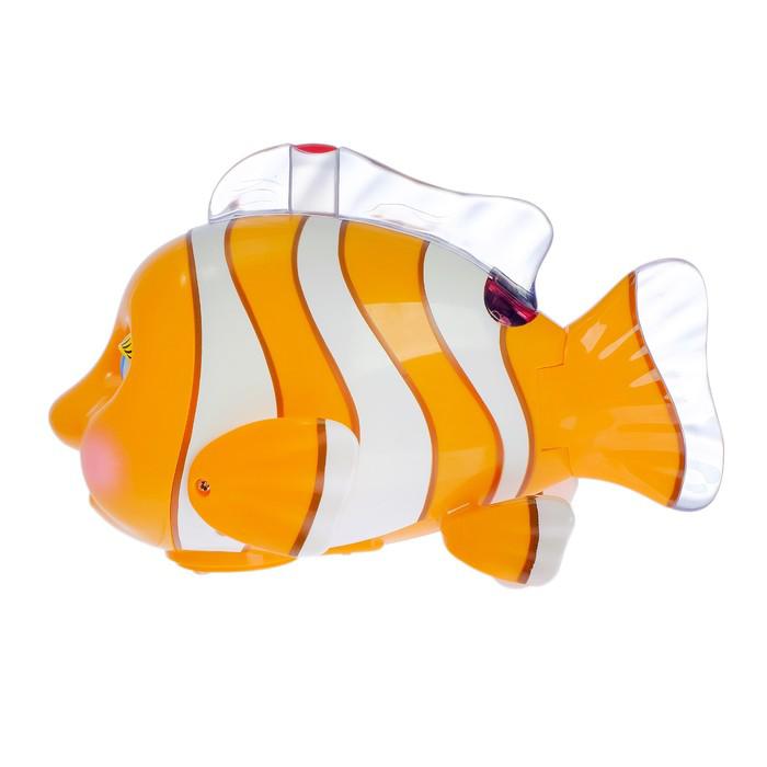 Развивающая игрушка «Рыба-Клоун», световые и звуковые эффекты 