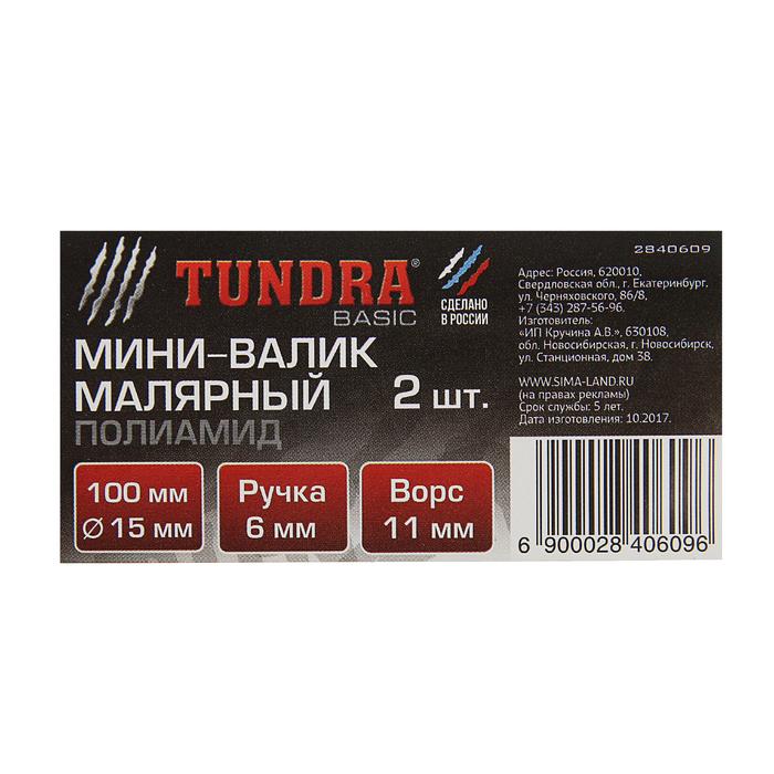 Мини-валик сменный TUNDRA basic, полиамид, 100 мм, ручка d=6 мм, D=15 мм, ворс 11 мм, 2 шт.   284060 