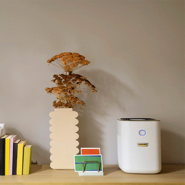 Очиститель воздуха Karcher AF 20 - фото 4