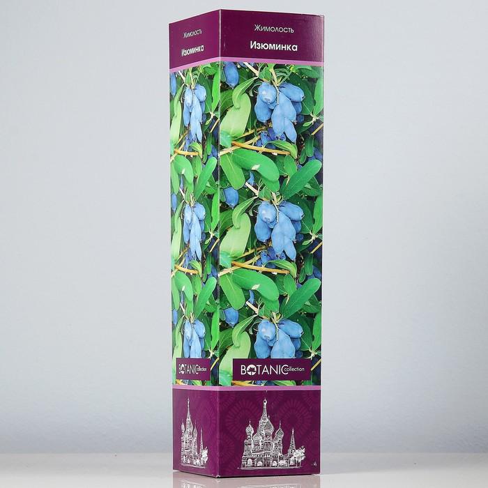 Саженцы Купить С Доставкой По России Почтой