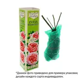 Саженец розы Дип Перпл, 1шт  - фото 2