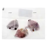 Тюльпан триумф Мистресс, р-р 11/12, ЭКОНОМ 3 шт 