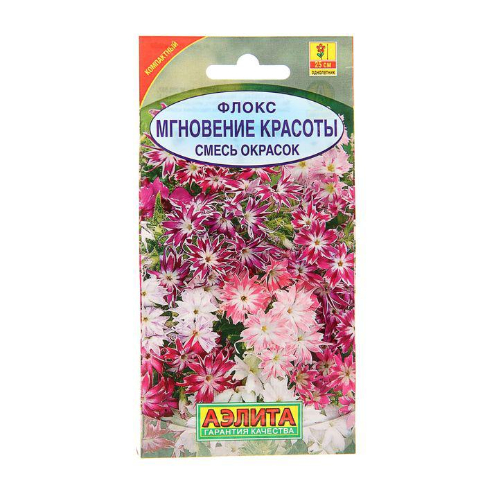 Флоксы Однолетние Купить Семена