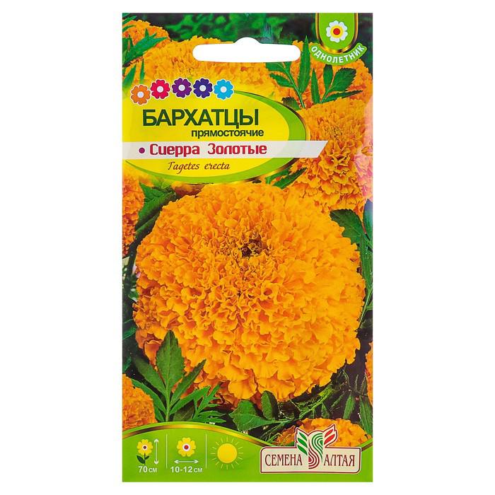 Бархатцы Синие Купить Семена