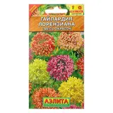 Семена цветов Гайлардия "Лорензиана", смесь окрасок, О, 0,3 г 