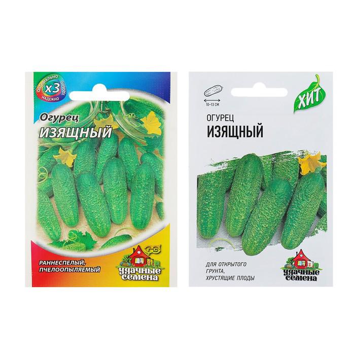 Семена Огурцов Изящный Купить