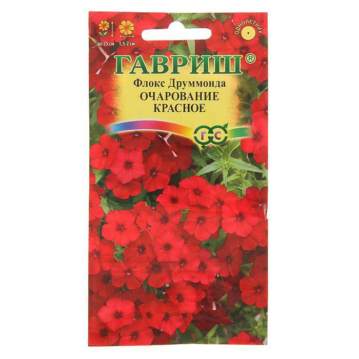Флоксы Однолетние Купить Семена