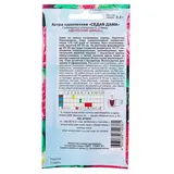 Семена цветов Астра «Седая дама», О, 0,2 г.  - фото 2