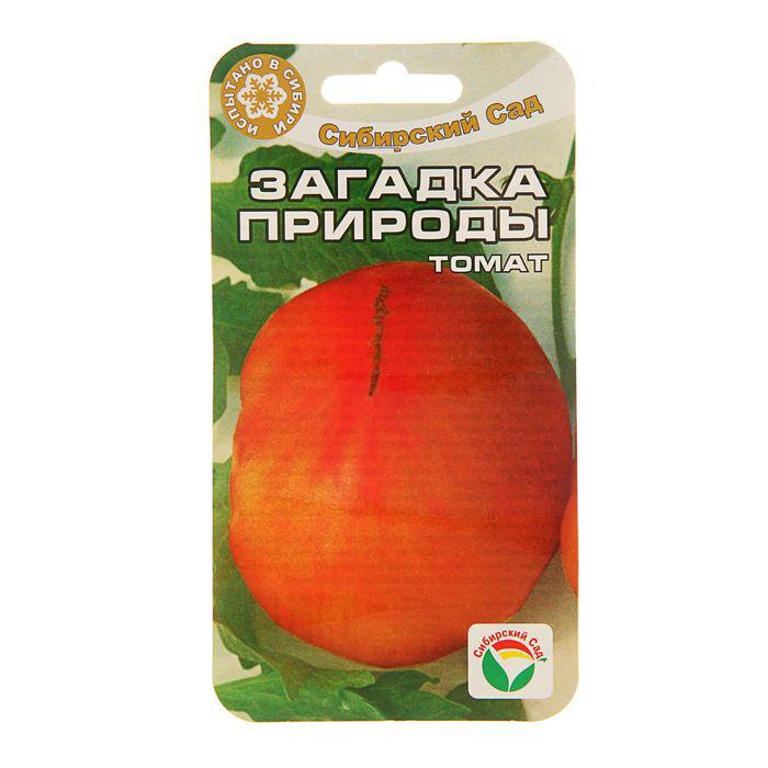 Томат загадка природы отзывы фото урожайность
