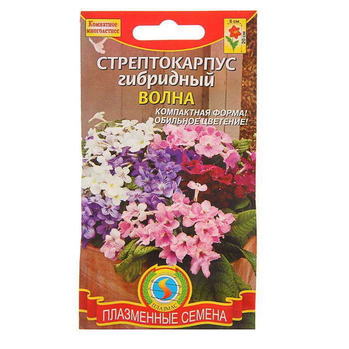Стрептокарпусы Купить Семена Почтой Цена